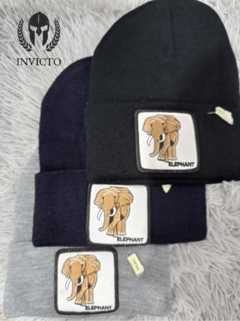 Beanie Goorin Bros - Elefant