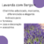 Cheirinho para Embalagem Lavanda com Benjoin,30ml - comprar online