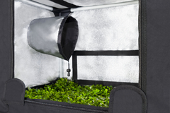 PROBOX PROPAGATOR S - Garden HighPro