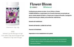 Flower Bloom 70gr Bioproyect - comprar online