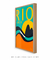 Quadro Decorativo Rio de Janeiro - Tom Veiga