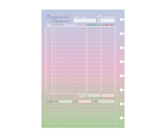 Refil planner financeiro para caderno de disco A5 Octo