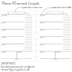 REFIL Planner COMPACTO OCTO - para caderno de disco P - Pink Blue Paper