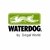 JARRO DE ACERO WATERDOG WHITE - comprar online