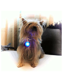 Luz led para mascotas