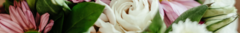 Banner de la categoría Flores para Regalar