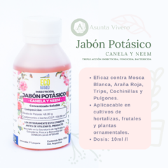 JABON POTASICO - CANELA Y NEEM X 100CC - comprar online