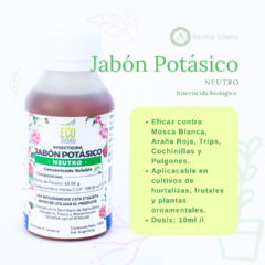 JABON POTASICO NEUTRO X 100CC