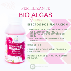 FERTILIZANTE BIOALGAS - FLORACION X 100CC - comprar online