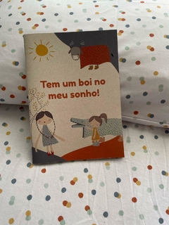 livro tem um boi no meu sonho