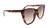 ÓCULOS DE SOL EVOKE NEW THE GODMOTHER BRD21 TURTLE BROWN GRADIENT