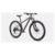 Bicicleta Rockhopper Comp 29 na internet