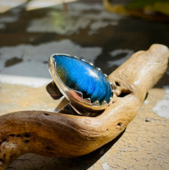 Anillo Labradorita Ondas en internet