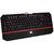 TECLADO MEMBRANA KARURA 2 K502 RGB REDRAGON - Grupo Expert Tecnologia | Expert Informática