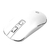 MOUSE OFFICE SEM FIO S4000 1600DPI BRANCO HP - loja online