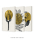 Conjunto Decorativo 3 Quadros Golden Botanic na internet