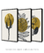 Imagem do Conjunto Decorativo 3 Quadros Golden Botanic