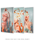 Conjunto Decorativo 3 Quadros Woman with Flowers na internet