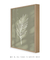 Quadro Decorativo Botanique 1 - comprar online