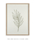 Quadro Decorativo Botanique 2 - comprar online