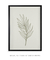 Quadro Decorativo Botanique 2 - comprar online