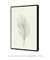 Quadro Decorativo Botanique 2 - comprar online