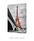 Quadro Decorativo Eiffel Tower na internet