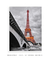 Quadro Decorativo Eiffel Tower - Vilela Galeria de Quadros