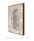 Quadro Decorativo Folha Boho na internet