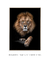 Quadro Decorativo Lion The King na internet