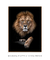 Imagem do Quadro Decorativo Lion The King