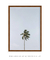 Quadro Decorativo Palm Tree na internet