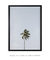 Imagem do Quadro Decorativo Palm Tree