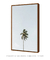 Quadro Decorativo Palm Tree - Vilela Galeria de Quadros