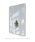 Imagem do Quadro Decorativo Palm Tree