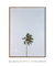 Quadro Decorativo Palm Tree - loja online