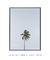 Quadro Decorativo Palm Tree na internet