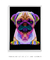 Quadro Decorativo Pug Pop Art - Vilela Galeria de Quadros