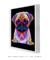 Quadro Decorativo Pug Pop Art - loja online