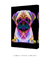 Quadro Decorativo Pug Pop Art na internet