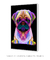 Quadro Decorativo Pug Pop Art - Vilela Galeria de Quadros