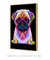 Quadro Decorativo Pug Pop Art - loja online