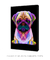 Quadro Decorativo Pug Pop Art - Vilela Galeria de Quadros