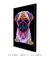 Quadro Decorativo Pug Pop Art - loja online