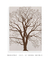 Imagem do Quadro Decorativo The Dry Tree