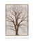 Quadro Decorativo The Dry Tree na internet