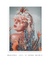 Quadro Decorativo Woman With Flowers 1 - loja online