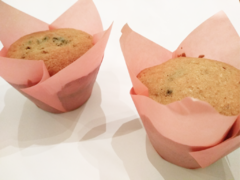 Muffins gotas de chocolate y pasas - comprar online