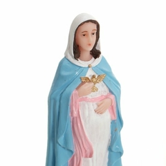 Imagem de Nossa Senhora Grávida em Resina - 21cm - comprar online