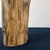 Tronco Natural (40 x 19 cm _ 02) - comprar online